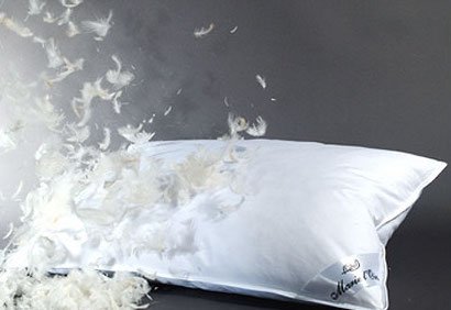 eDIL_Dictionary's tweet photo. Back to useful Ir. phrases:

Nĺ FUIL CLÚIM RIA BAR N-ADART (LL257b) 'there are no feathers in your pillow', i.e. your situation is difficult https://t.co/vGOPIxaTbz