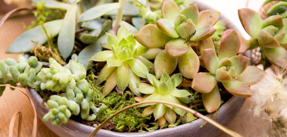 BogathEvents's tweet image. Our biggest wedding day regrets are on the blog today! Learn from my mistakes! bogathevents.com/2017/01/02/big…