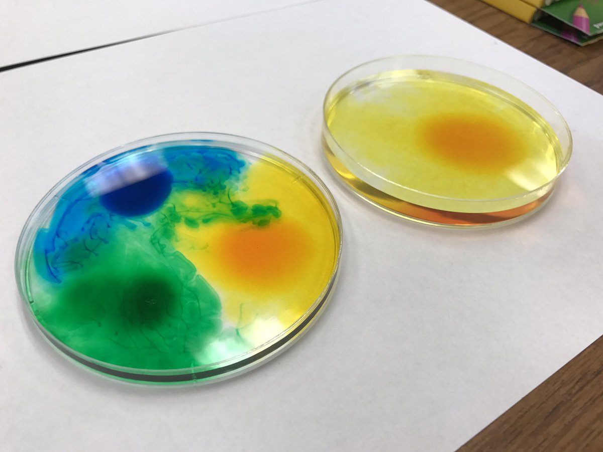 RascalDavies's tweet photo. Expolrimenting with Skittles and food coloring! #WinterPD #NGSS @RowlandSchools https://t.co/nOKAeaOvnD
