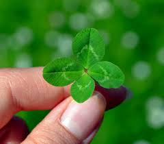 MicaaAbortera's tweet photo. 🍀Rt y vas a tener suerte este 2017💫 https://t.co/aFuxDeKc4M