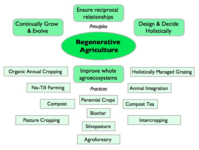 dtdchange's tweet image. Regenerative Agriculture Redefined
medium.com/@ethansoloviev…
HT @DrDCWahl #foodsecurity #agroforestry #notillfarming #silvopasture