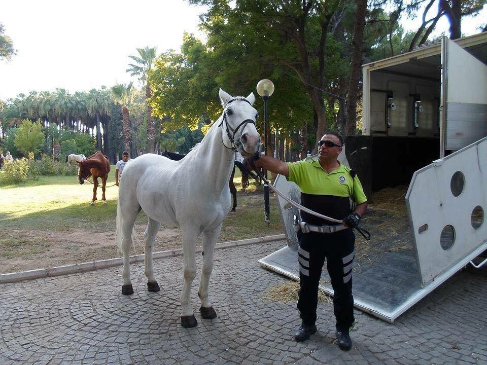 Hakkını bize helal et güzel abim😔 #FethiSekin