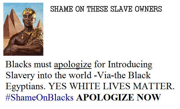 ObamaStopHating's tweet photo. White people are fantastic. We deserve #Love not Hate. Blacks are responsible for slavery. #BLMKidnapping #BLM #BLMKidnaping https://t.co/4eiaAvdzEp