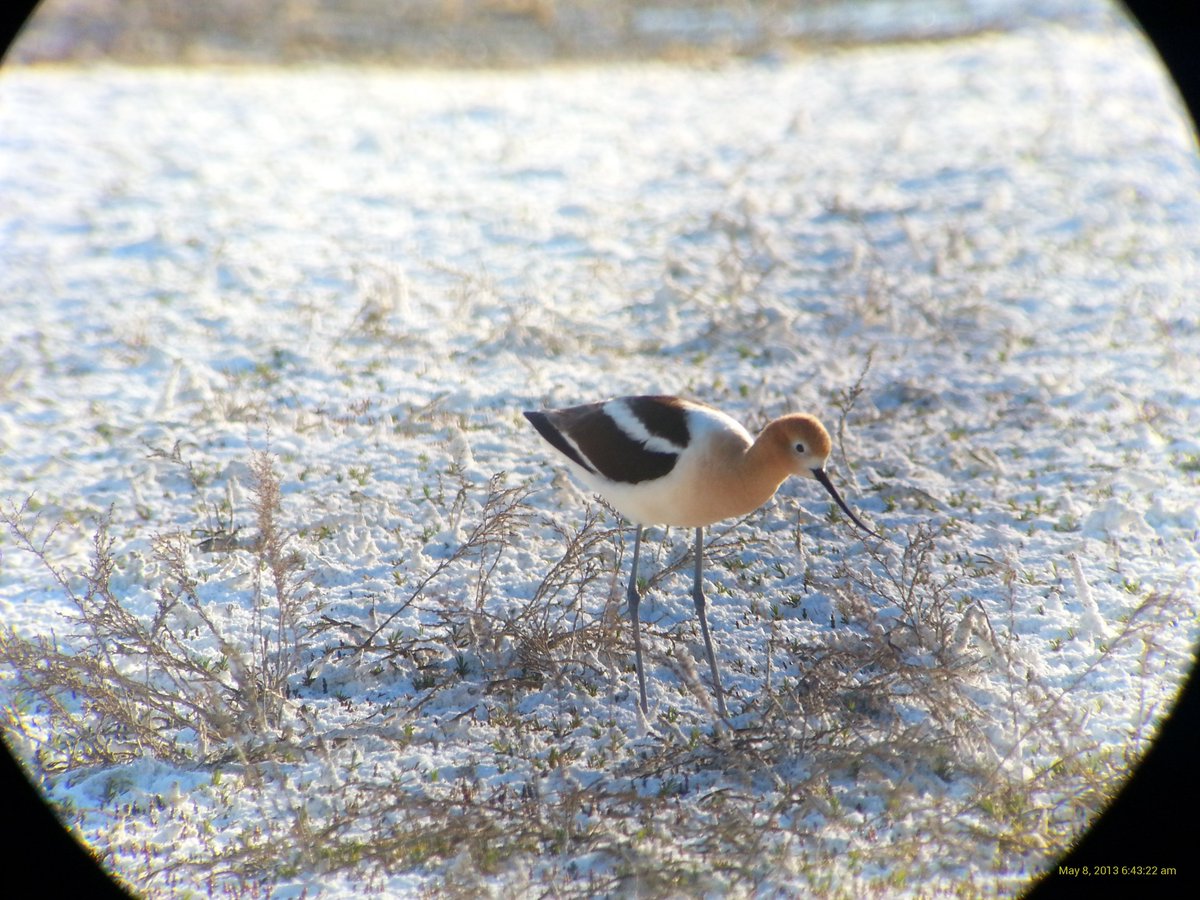 Clayton Lamb tweet media