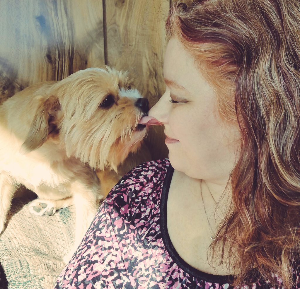 MrsStephie412's tweet image. Love this lil munchkin! 💗🐾❤