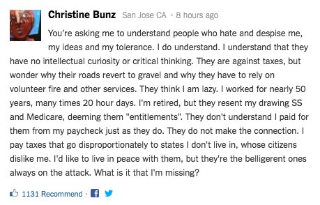 daweiner's tweet image. The New York Times should’ve just run this comment instead of that stupid piece.