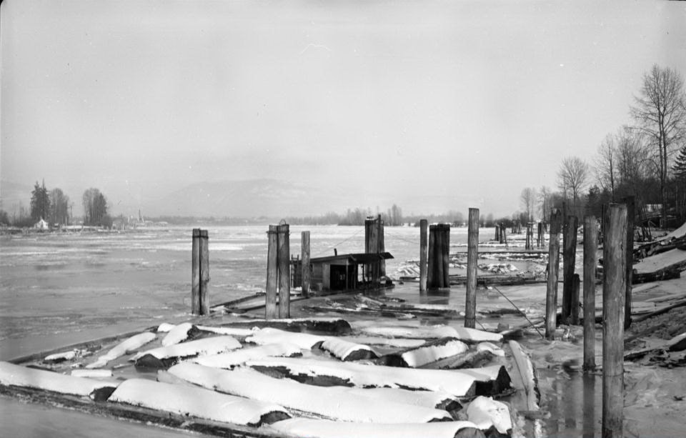 No ferry needed! This is parsons channel, between Barnston Island and Port Kells, frozen completely over! #SurreyBC