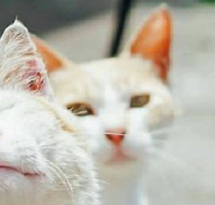 richesseboy's tweet photo. แล้วทำไมกูต้องมาขำกับอะไรแบบนี้ด้วย5555555 https://t.co/pIMEp0u63I