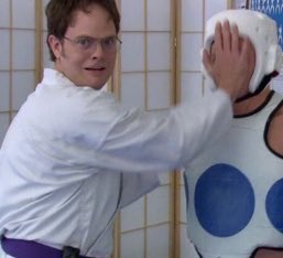 DwightSchrute_'s tweet photo. Karate Kid (1984) https://t.co/i7YAKr546J