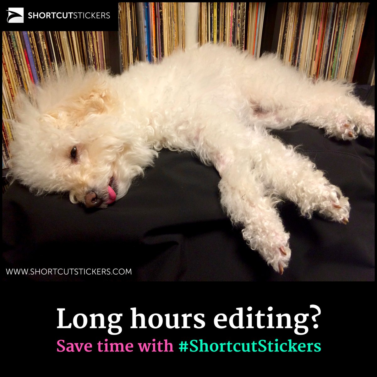 ShortcutSticker's tweet photo. First week of the new year almost over... Already need a break? Save some time editing with our #ShortcutStickers https://t.co/Es8pUkrdVm