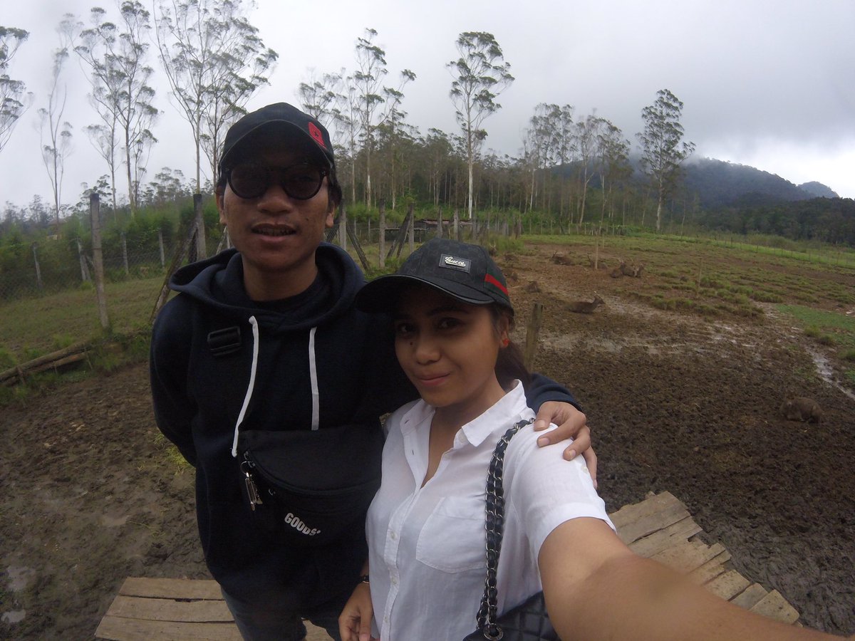 dikoadrianto's tweet photo. https://t.co/1vosrmfv6H