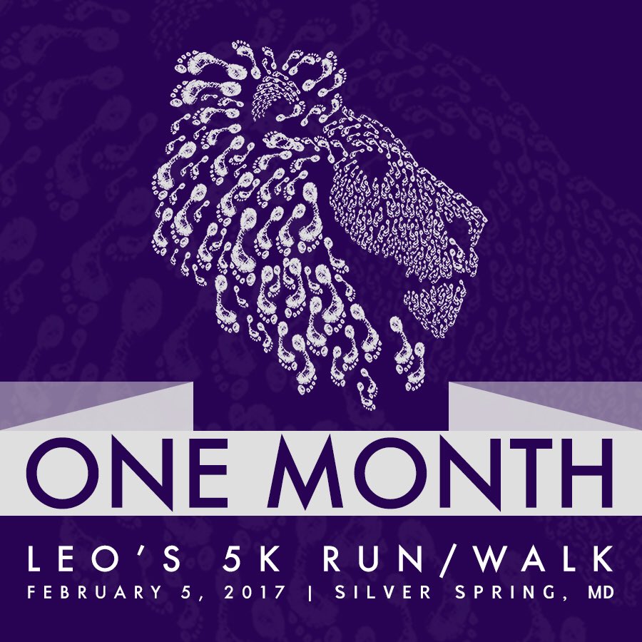 LeosRunSS's tweet photo. ONE MONTH until Leo's Run! Register: https://t.co/GIBgqwFFHo #SilverSpring #DTSS #MDrunning https://t.co/cbouXU3Q6y
