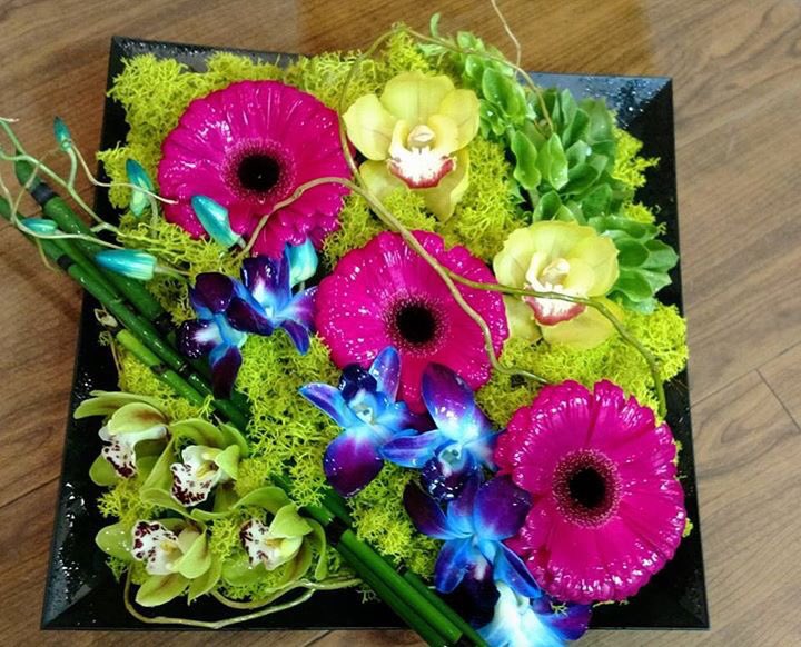 FunkyPetalsLeth's tweet photo. A little sunshine for your January! https://t.co/pJHW5RqwVE