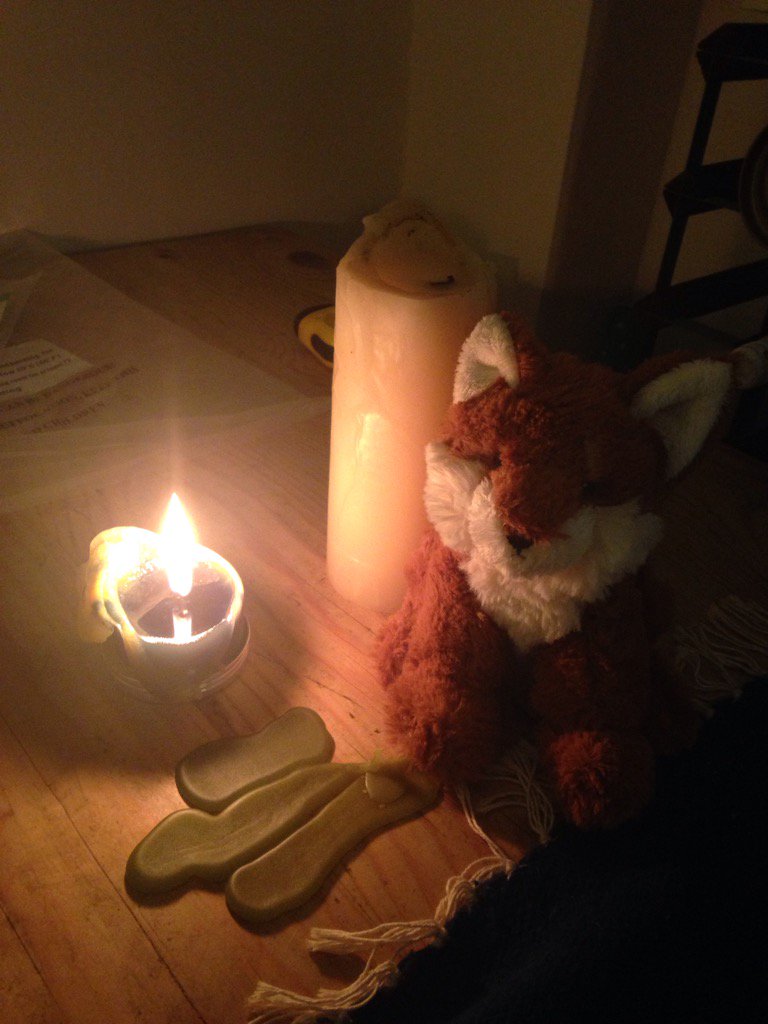 BirthHills's tweet photo. #homebirth first time mum rocked her birth with a fluffy onlooker @RoyalSurrey @rschsupervision https://t.co/wrEByFynwY