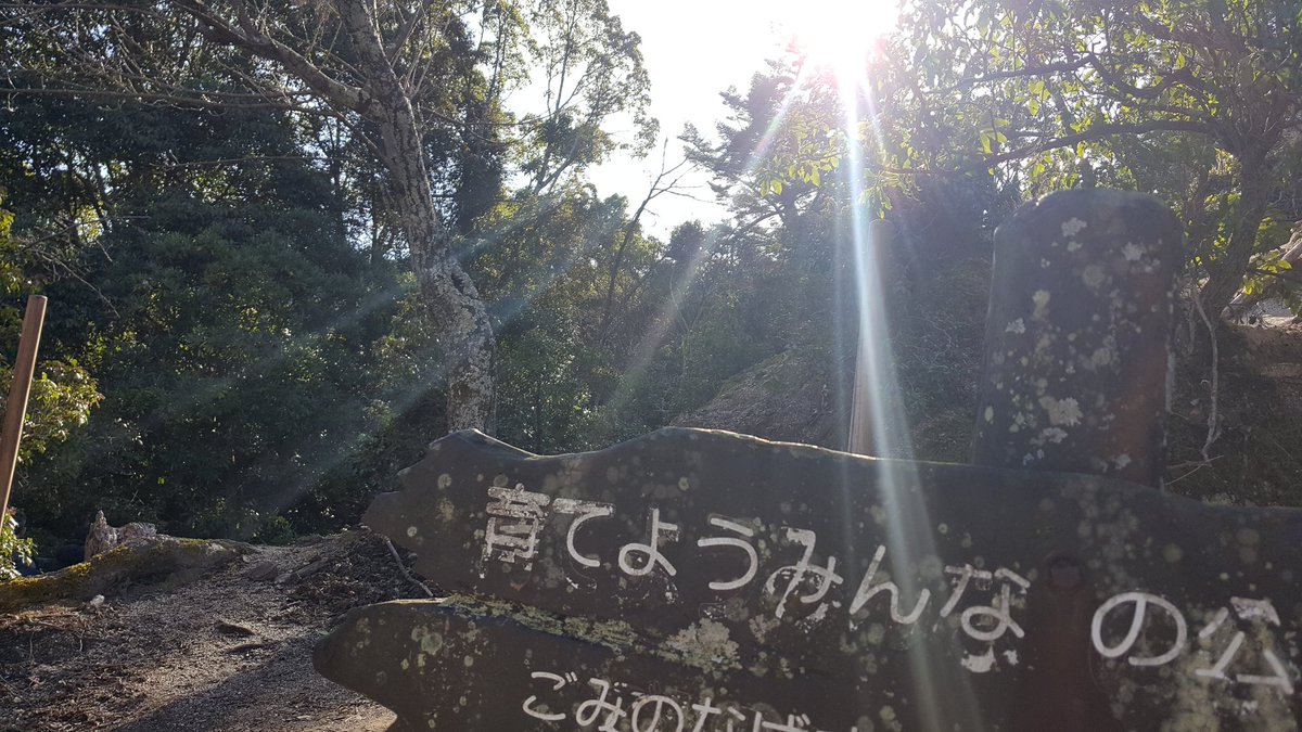 OODMProduction's tweet image. traveling in japan! videos to follow later!