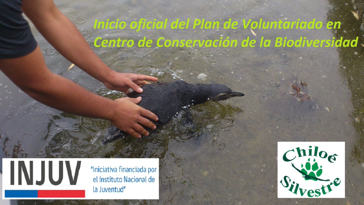 Hoy inicia oficialmente el Plan de Voluntariado! Mas información en voluntariado@chiloesilvestre.cl  #voluntariado #chiloesilvestre