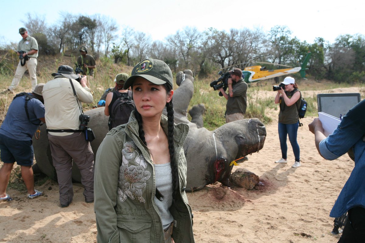 edu4naturevn's tweet photo. Video: Another chance 2 see diva, #HongNhung on #rhinoFriday: https://t.co/mMsTFi7qgD #actionagainstextinction #rhinohorn @RhinoGayle https://t.co/H7tTaYwyDK