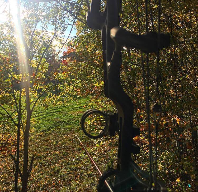 Krys_Michelle's tweet photo. Reminiscing on Deer Season'16  #tbt 🎯🌲🏹🦌
@BearArchery #AnarchyShadow #TrophyRidgeSight @CarbonExpress #maximared 
#bowhunting #girlswhohunt https://t.co/weLGumv6Vh