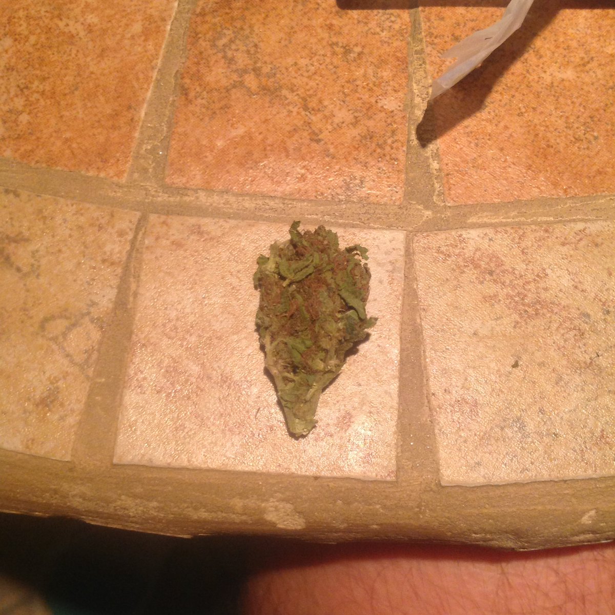 _BrunoBaltazar's tweet photo. Super Skunk / estuprador mental https://t.co/Nyh9OcbF65