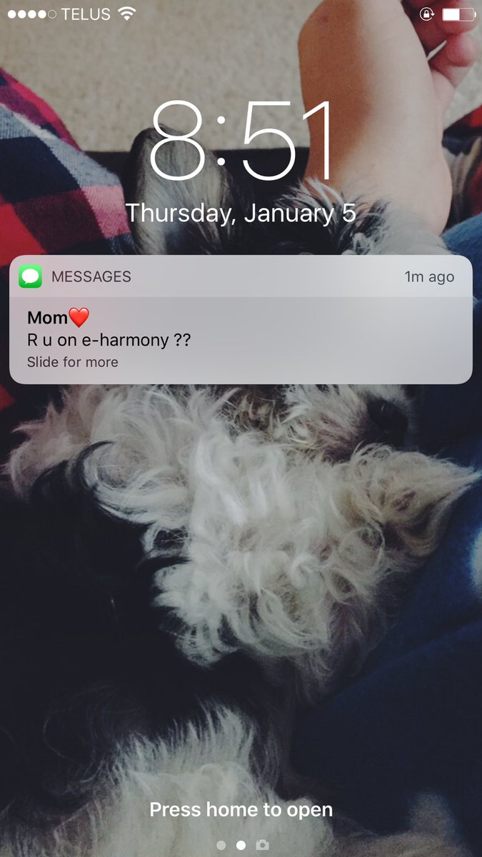 what_thescheck's tweet photo. I've hit an all time low https://t.co/vyzzLPAMhF