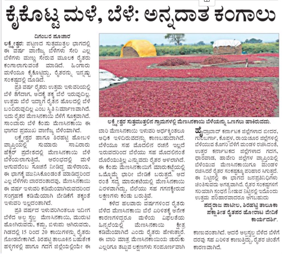UmachagiSantosh's tweet photo. #FarmersOfIndia #WithoutRain #droughthitarea #Karanataka @CMofKarnataka @PMOIndia https://t.co/FOTC3ssjqk