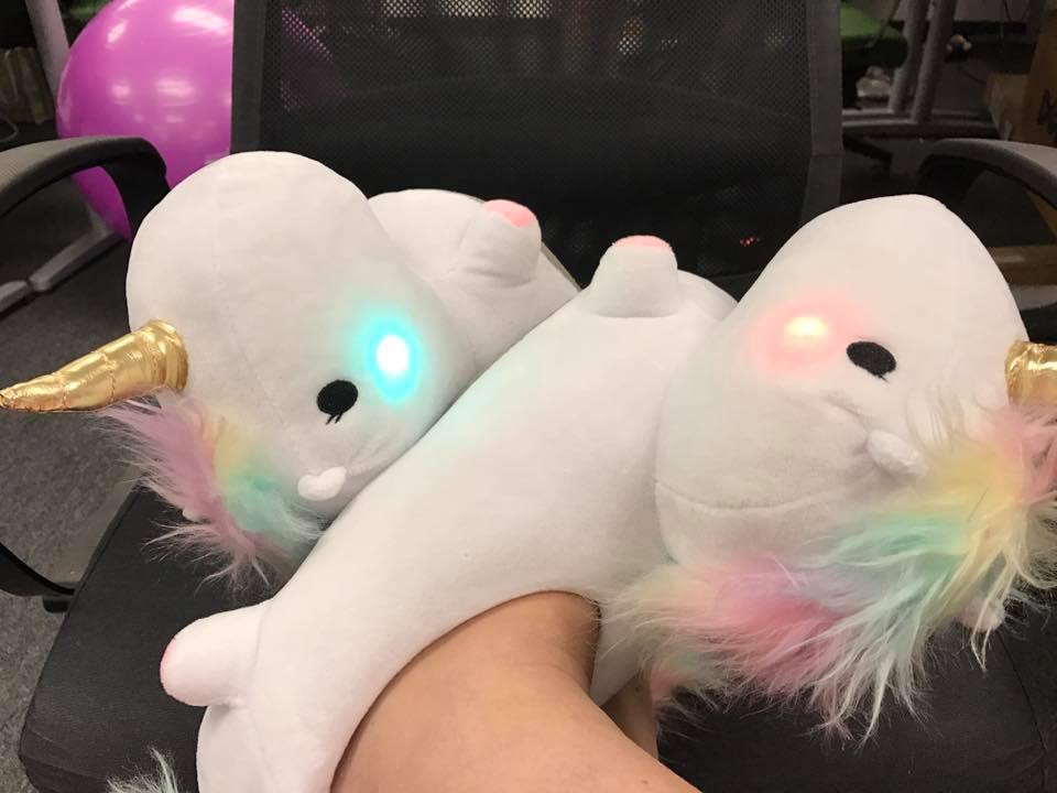 Jetlore's tweet photo. While we change the world of predictive AI-powered CRM, we wear slippers. #JetloreCulture #RainbowUnicorns #SlipperOfTheDay https://t.co/2ilvzUFaRl