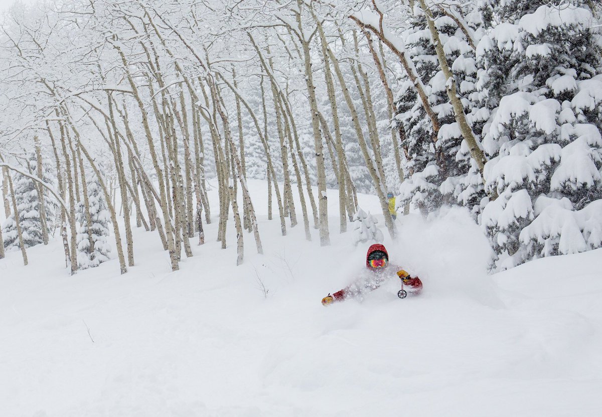 2" at the 5:30am snow report filled in to.... a lot throughout the day to say the least. Tomorrow will be even better 👌