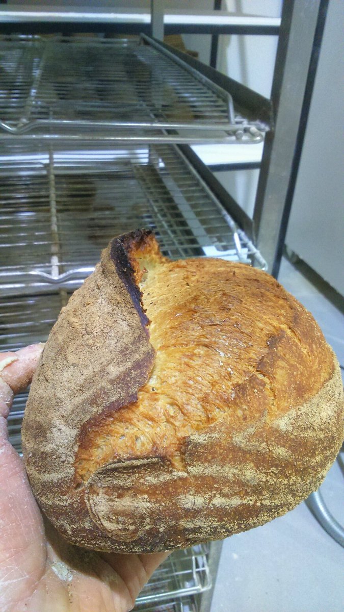 Jeremy Pastor tweet media