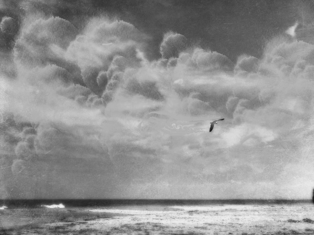 kimartino_Hipst's tweet photo. For #Theneweramuseum #emotive #peace and my day 5 of my #project365 #bw #seascape #Hipstafiend #CloudPorn #painterl… https://t.co/kQiuChG8yP