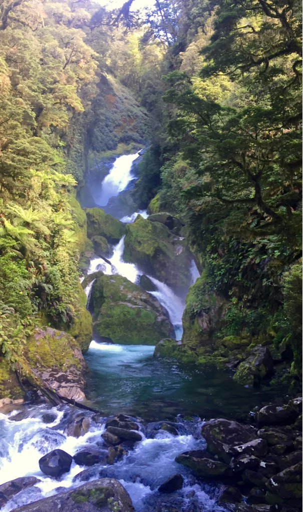 If you don’t like water falls then don’t hike the Milford Track. There is like 8 thousand of them.