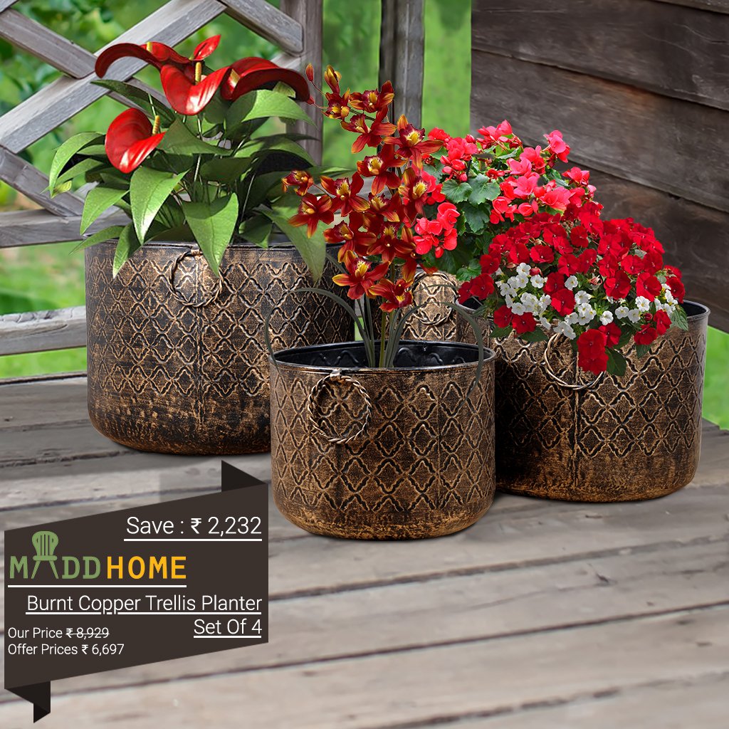 maddhome's tweet photo. Extremely impressive Burnt #Copper Trellis #Planter - Set of 4 : https://t.co/TNDTRepzY5
#home #decor #copperplanter #planterset #shop https://t.co/AaZnrxVkB2