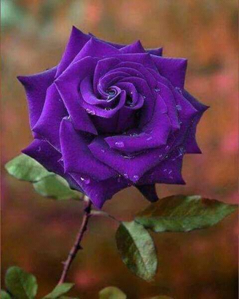 Md Homauyn (@mhomauyn) on Twitter photo 