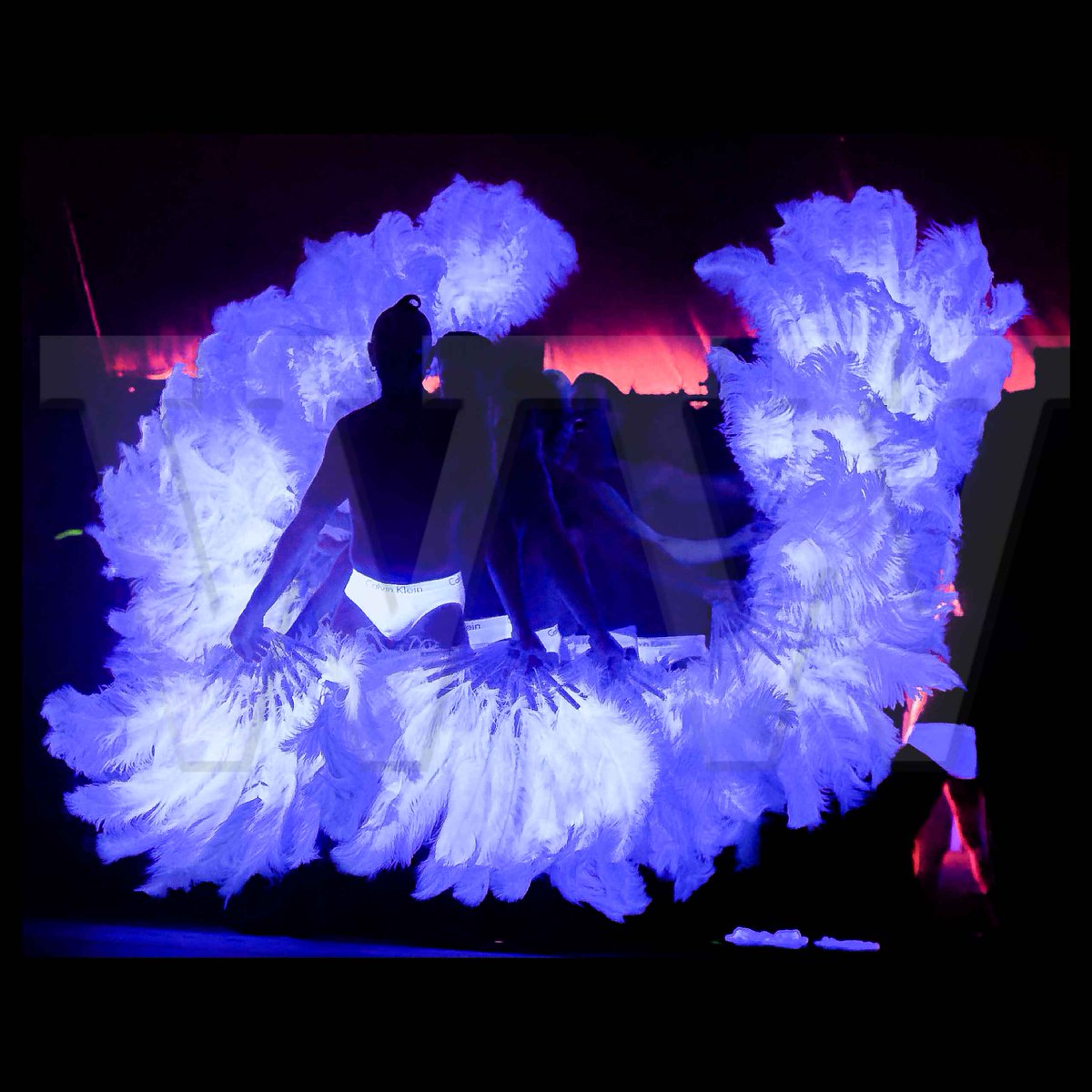 thinkingmedia's tweet photo. Wild Media Call 4 @sydney_festival Opening More Pics here https://t.co/UU3DiVLUSY  Runs from 7-29 January #SydFest https://t.co/ICuzSKOahy