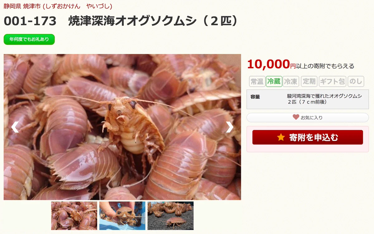 静岡県焼津市にふるさと納税→生きたままのオオグソクムシが送られてくるらしいｗｗｗ