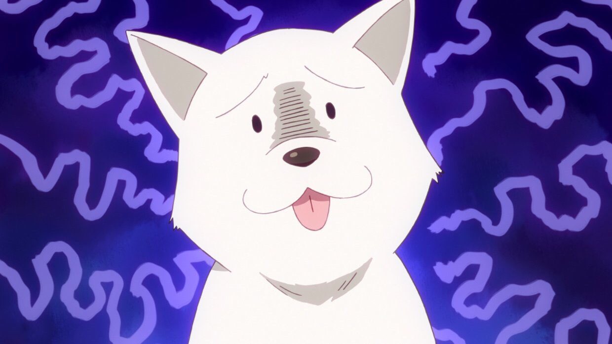 井澤美香子 みけ お知らせ 1月放送開始のテレビアニメ ガヴリールドロップアウト にて 犬役をさせていただきます 可愛くて面白い作品です 放送開始をお楽しみに あ みけちゃんは戌年なんですよ 笑 Gabdro 澤美香子 T Co