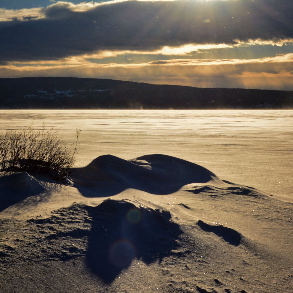 MtlPerspectives tweet picture