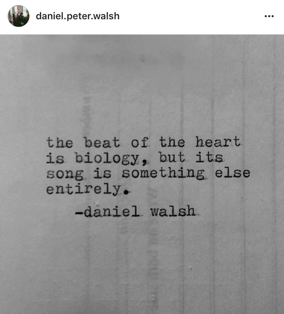 MissLHoward's tweet photo. First thing I do each day is check #danielwalsh posts this man has a true love affair with words 💖 https://t.co/DY7xQhGfKj