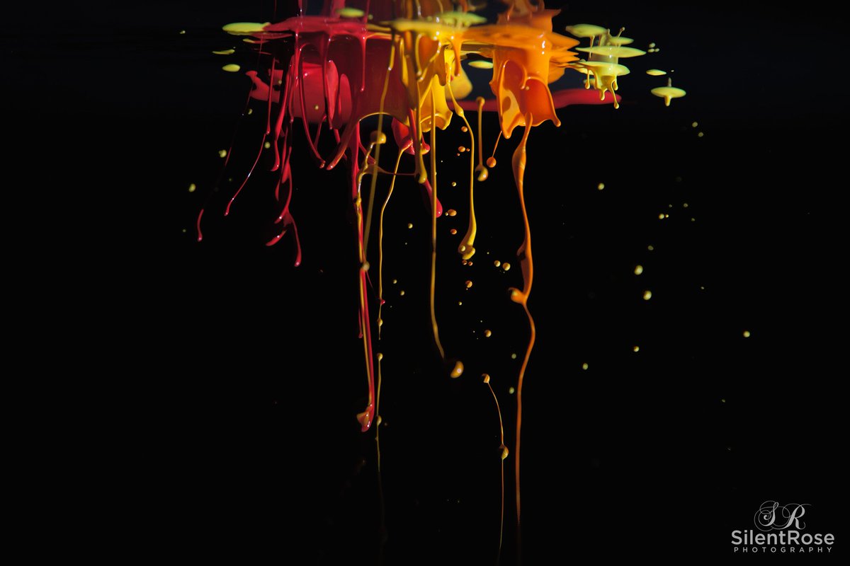 splash photo! was so much fun photographing jumping paint :)