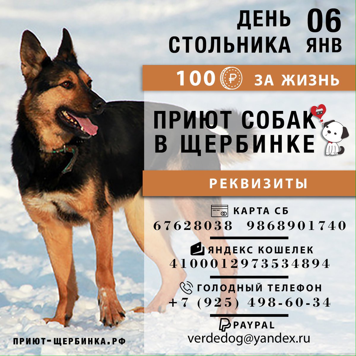 Приют для собак щербинка. Стольник для приюта собак. Собачий приют в щербинке. Приют города черногорска собак фотографии. Приют щербинка.