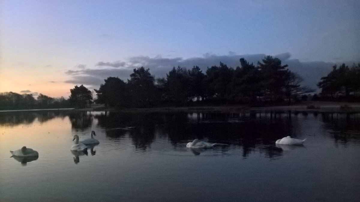 New forest Hatchet pond ☺