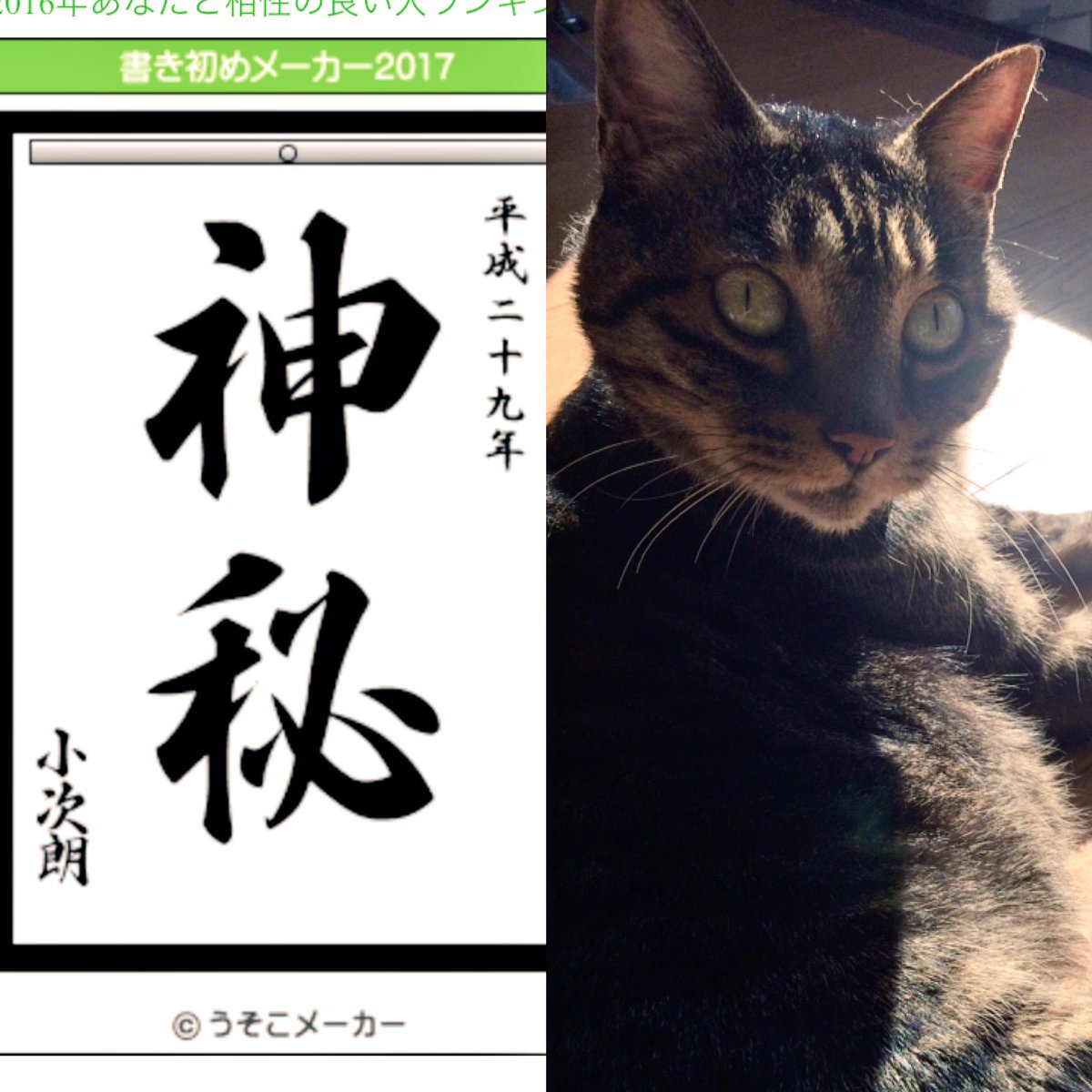 書初めメーカー 書初めメーカー