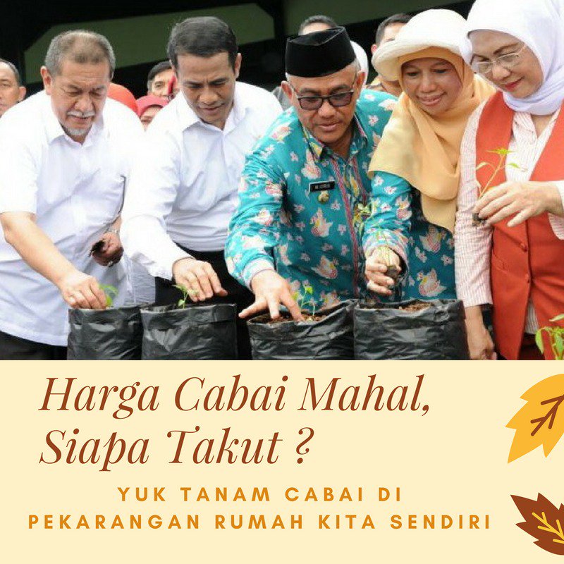 Harga cabai mahal, siapa takut? Yuk cukupi kebutuhan kita dengan tanam cabai di pekarangan rumah sendiri.