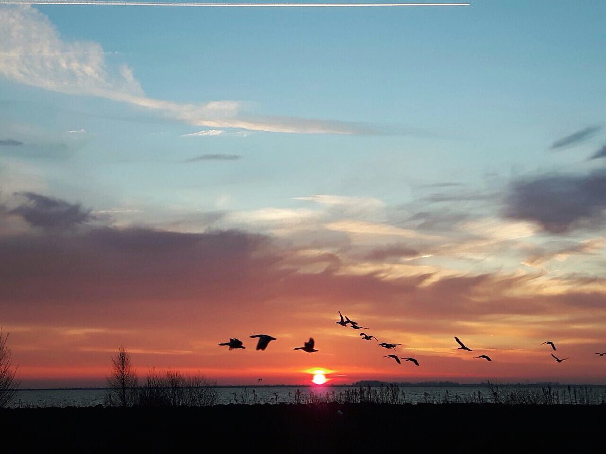 Hakkuz's tweet photo. De zon komt op maakt de morgen wakker.... #volendam #zwanen #zonsopkomst #noordholland #mooielucht #clouds #sun #marinapark @mooieluchten https://t.co/ljSfH66WTu