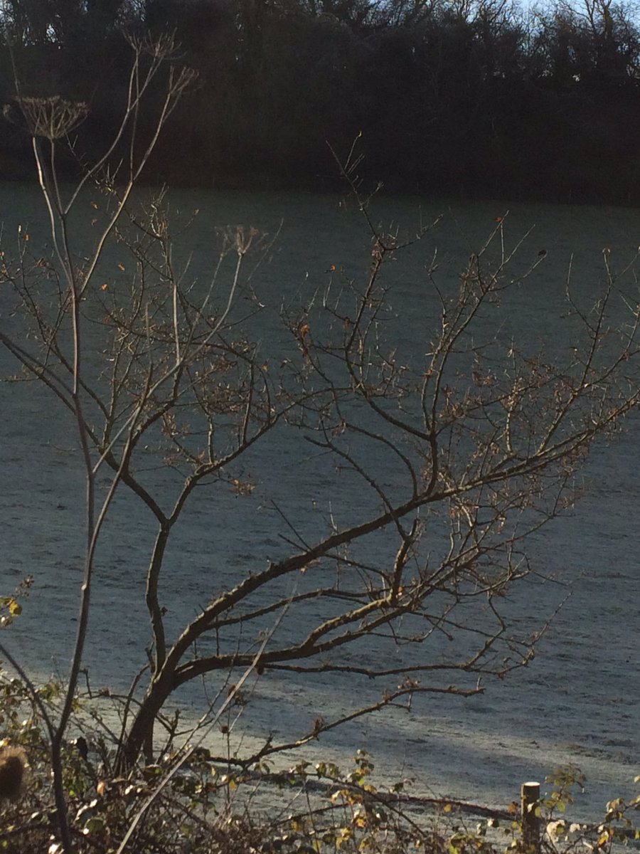 Beautiful #frosty start to the day 5-1-2017  <a href="/onthewight/">OnTheWight: Isle of Wight News</a> <a href="/iwcponline/">Isle of Wight County Press</a> <a href="/IoWVAA/">Isle of Wight VAA</a> <a href="/VisitIOW/">Visit Isle Of Wight</a> <a href="/BBCSouthWeather/">BBCSouthWeather</a> #pureislandhappiness