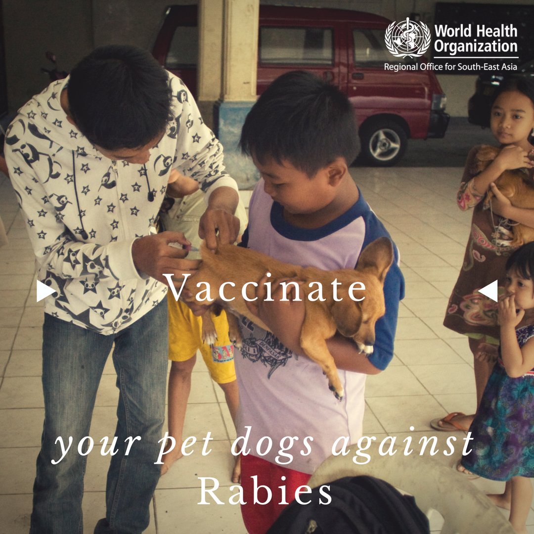WHOSEARO's tweet photo. #Vaccinate your pet dogs against #rabies! https://t.co/l01HSOcKyP