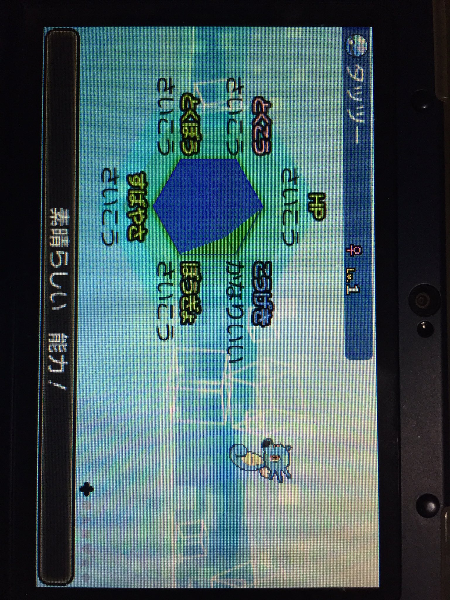 Kokiポケ垢 Kokipokemon Twitter