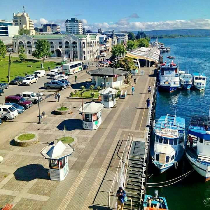 Sur De Chile tweet media