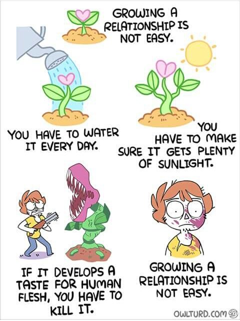 kattenockso's tweet photo. #OwlTurdComix https://t.co/sVGWzOFDqi