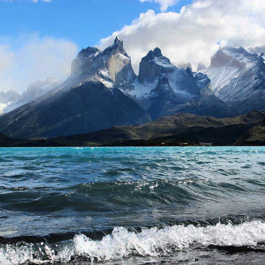 Sur De Chile tweet media