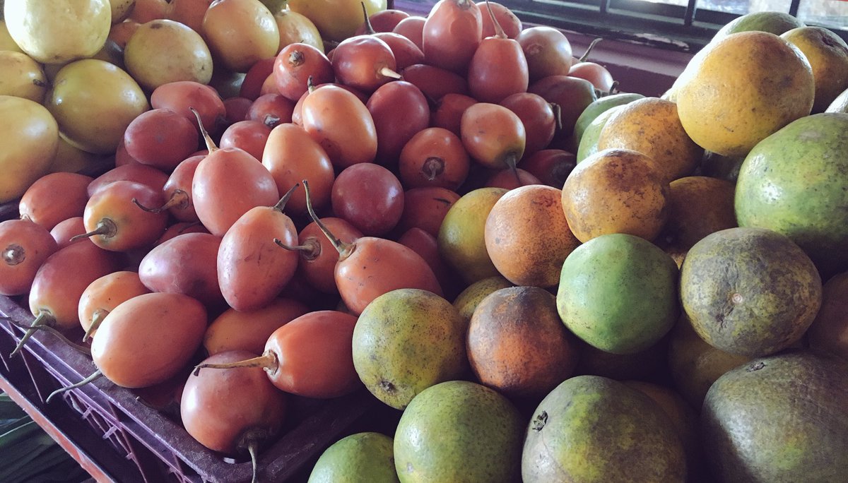 aurelioIragorri's tweet photo. Hoy es el primer día de 2017 que el campo duplica el abastecimiento #Corabastos reporta el ingreso de 14.604 t de alimentos #FelizDíaDeReyes https://t.co/9G1W7qVuez
